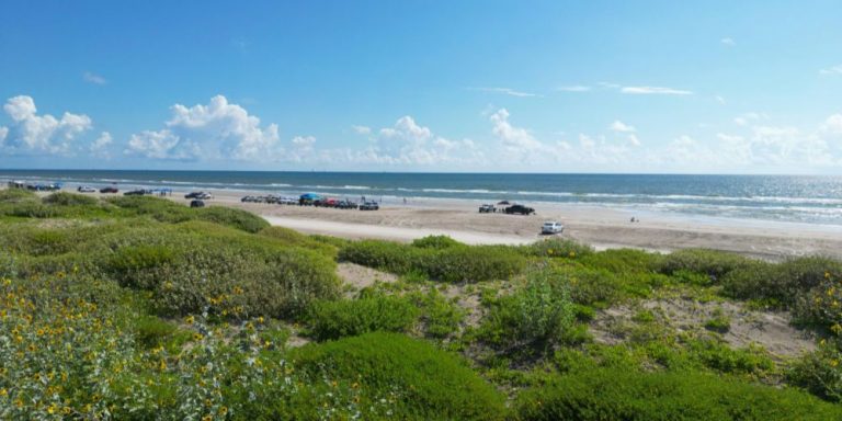 If you’re dreaming of sandy beaches, ocean breezes, and a laid-back vibe, Corpus Christi RV parks are calling your name. Located along the beautiful Texas Gulf Coast, these parks offer a unique mix of comfort, scenery, and adventure — all in one place.